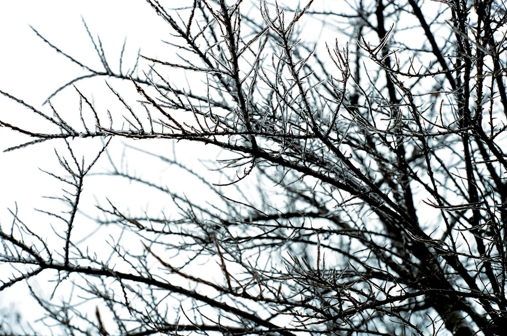 Obrázek nahrál Irónia