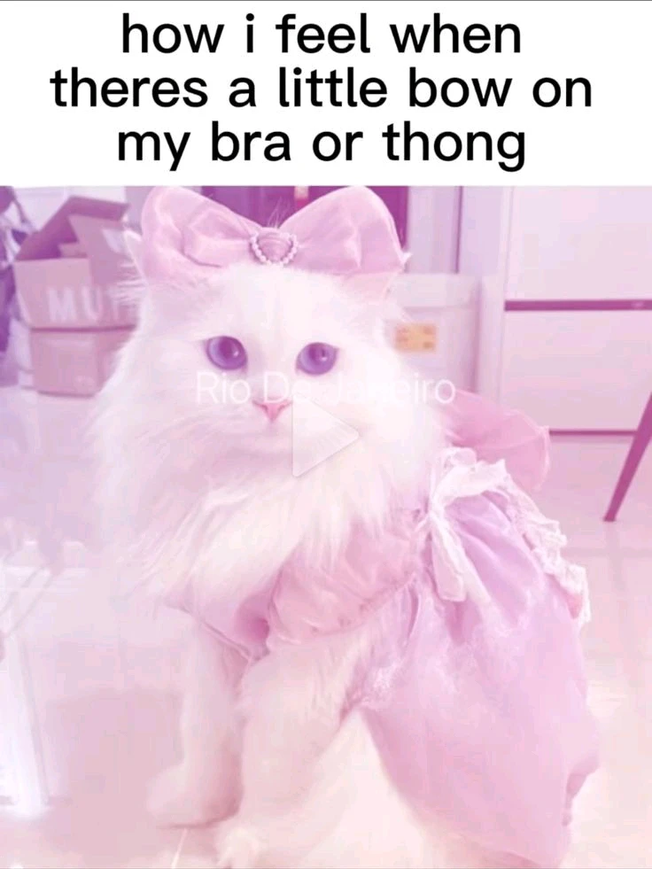 Image uploaded by Alyssa