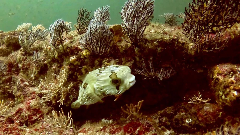 Image uploaded by Vanessa