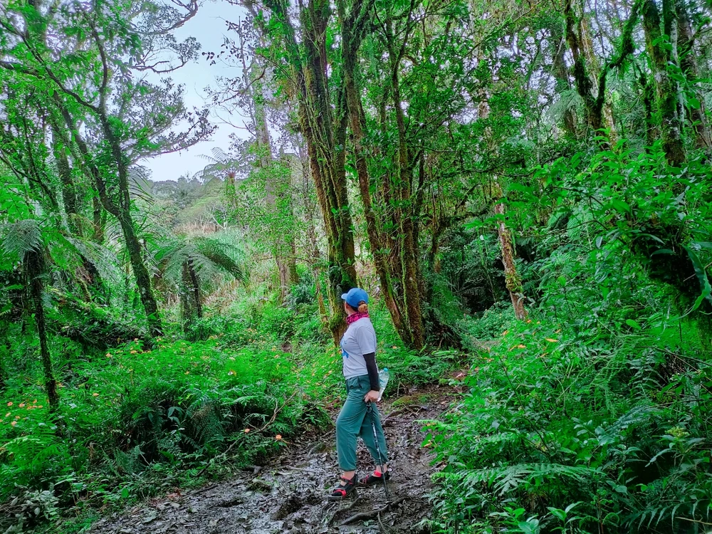 Image uploaded by Pikut