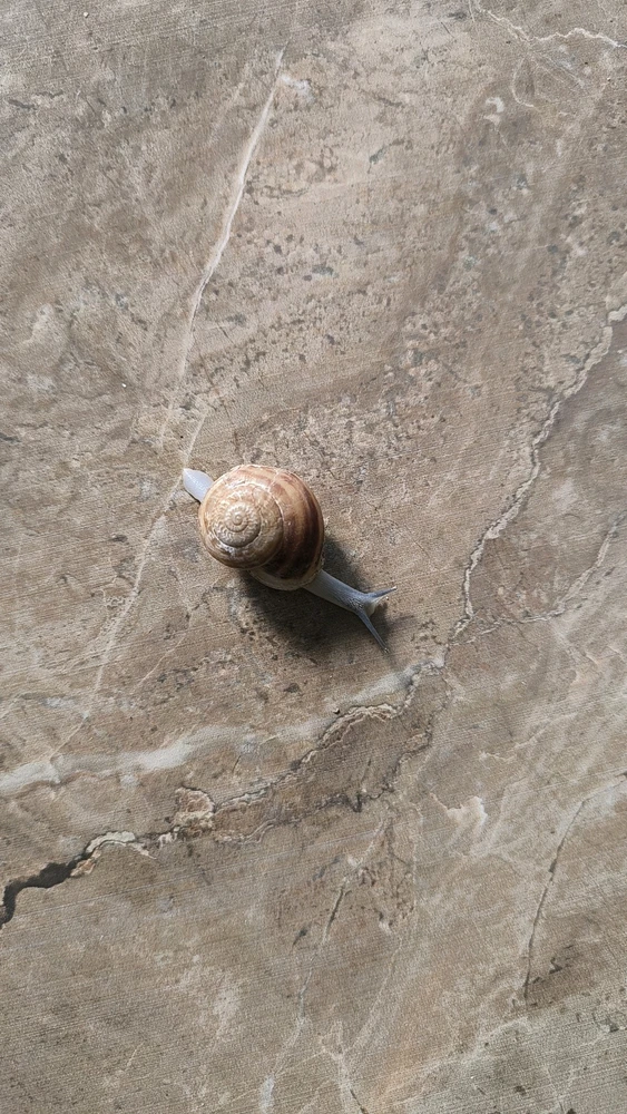 Berat tarafından yüklenen görsel