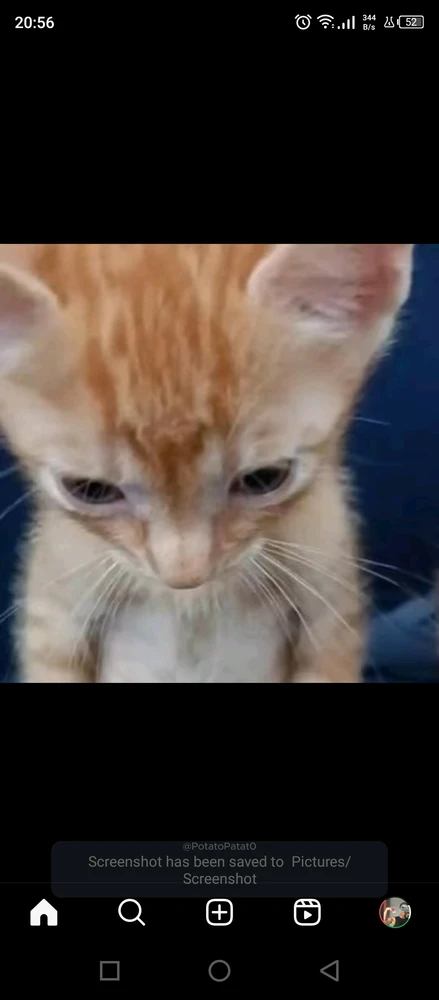 Gambar diunggah oleh Aji