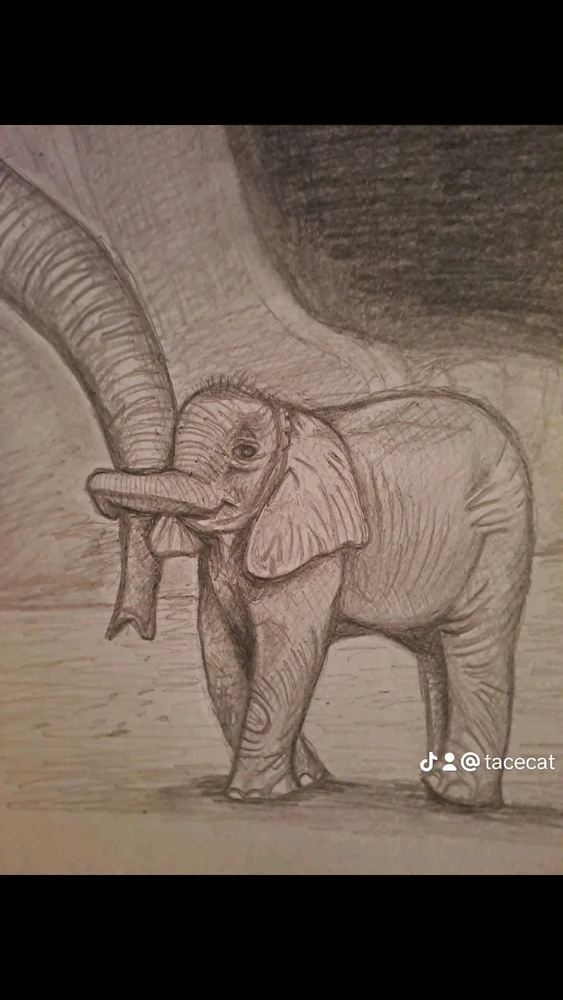 Image uploaded by Babs