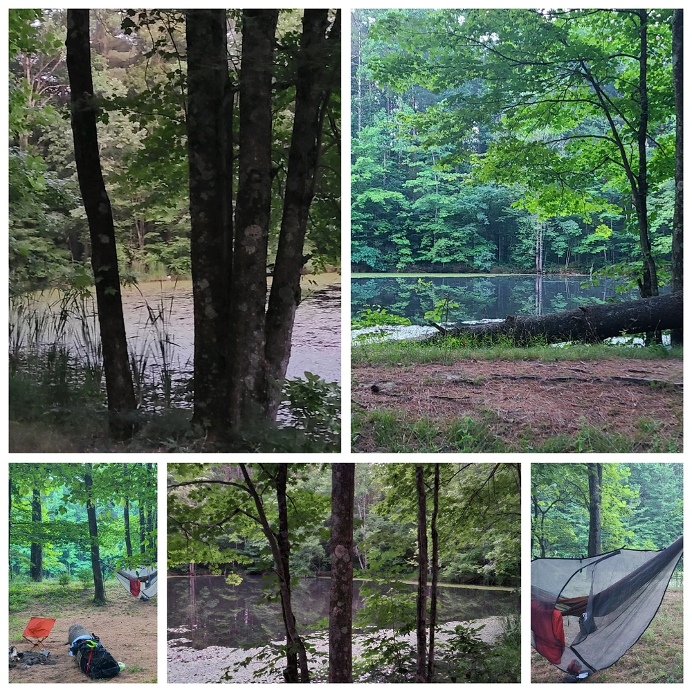 Image uploaded by Brian