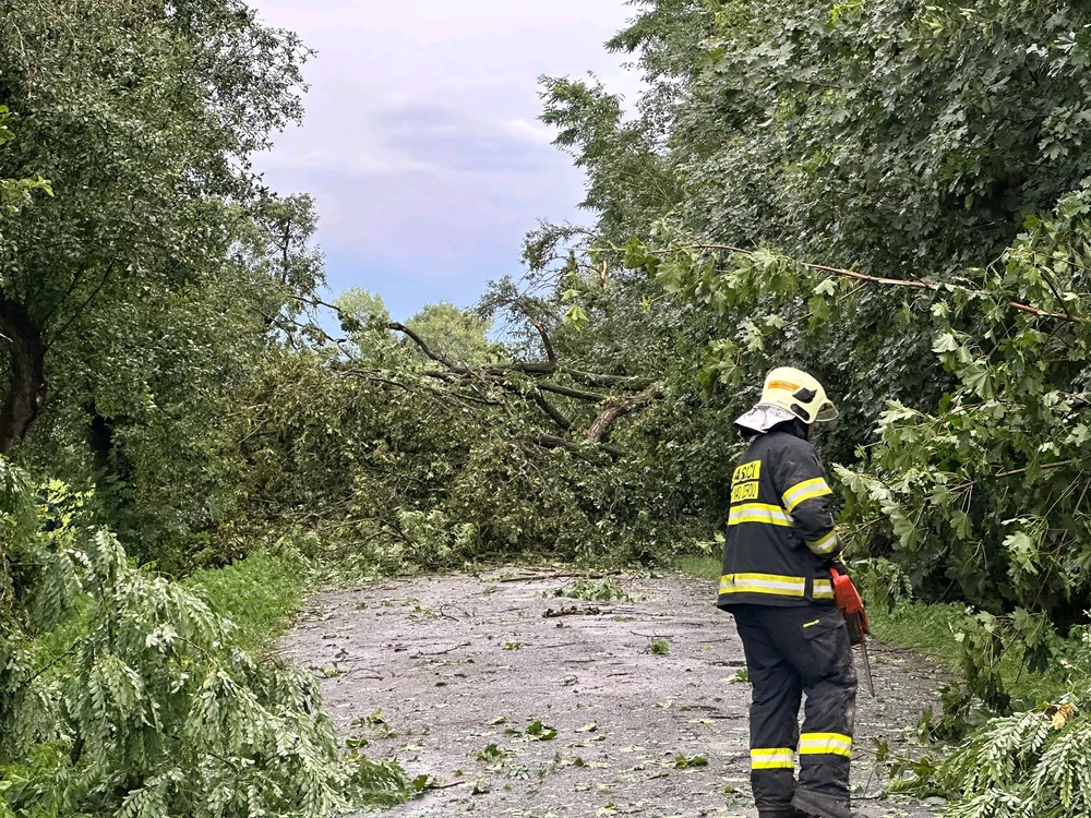 Obrázek nahrál Matěj