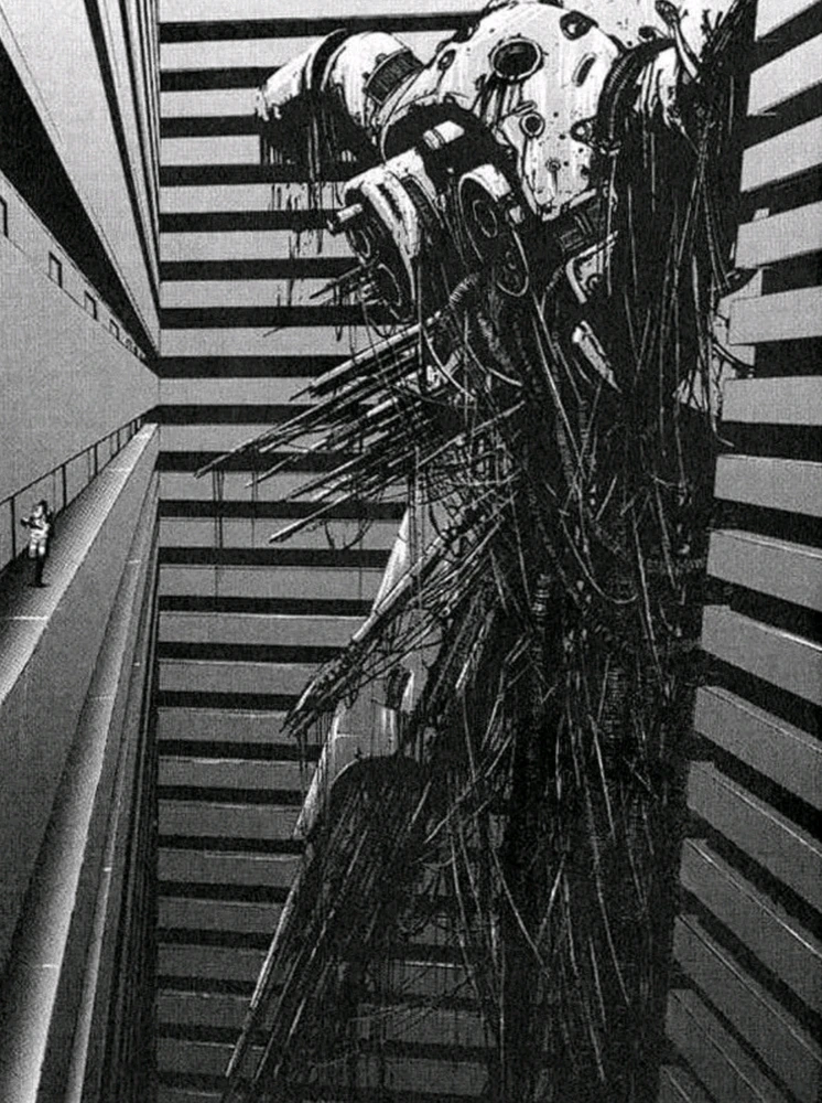 Imagem enviada por Felipe Toloni