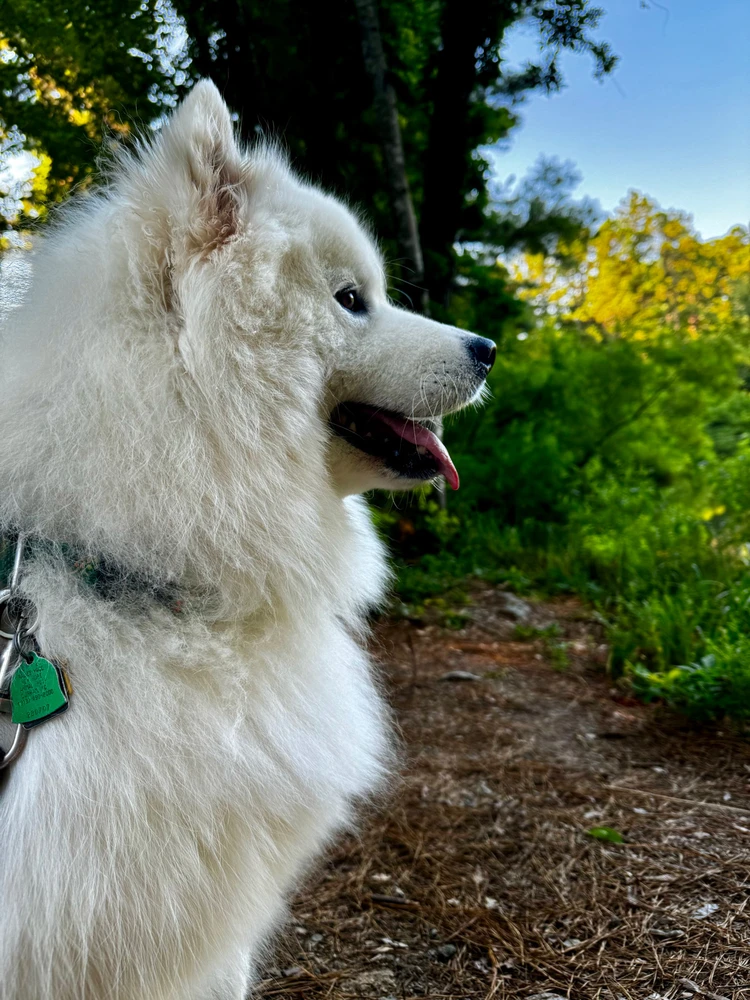 Image uploaded by Chad