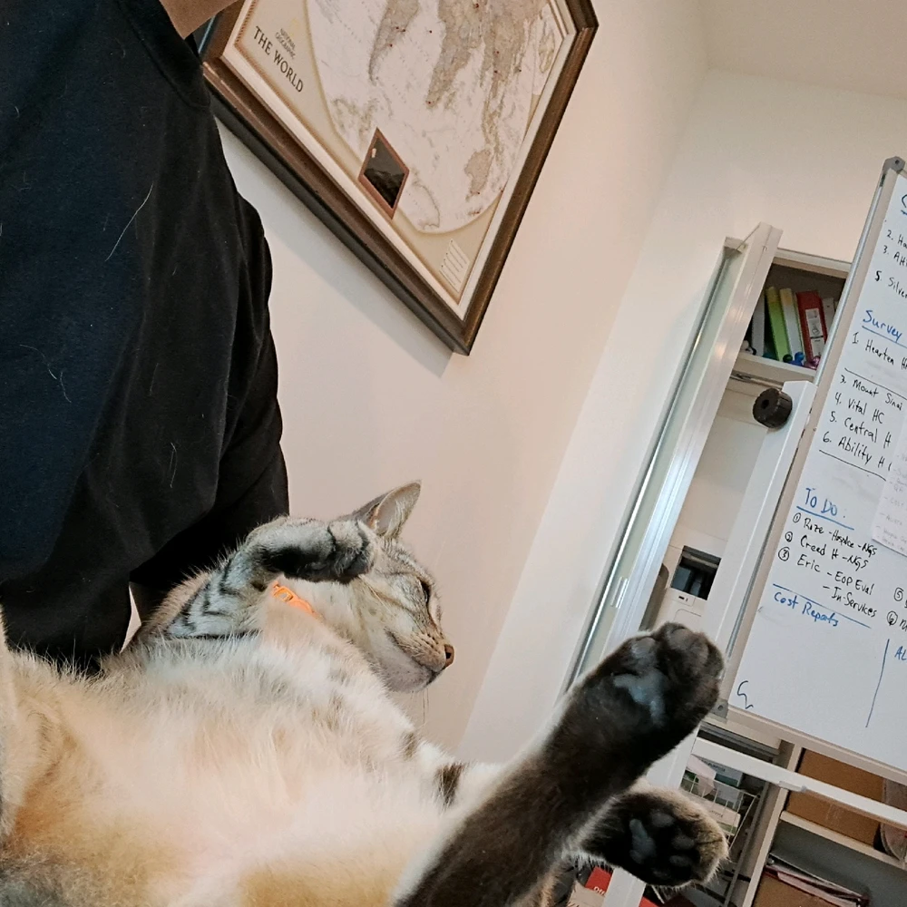 Image uploaded by Gilberto