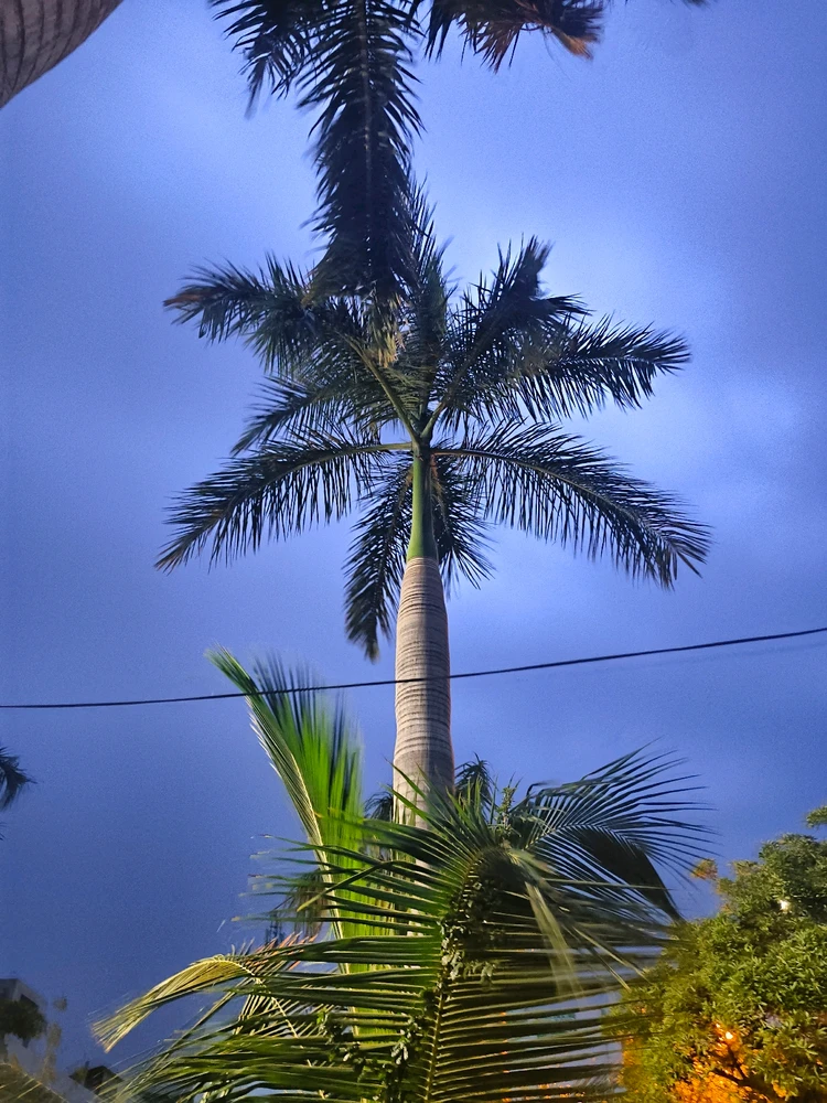 Image uploaded by Aashish