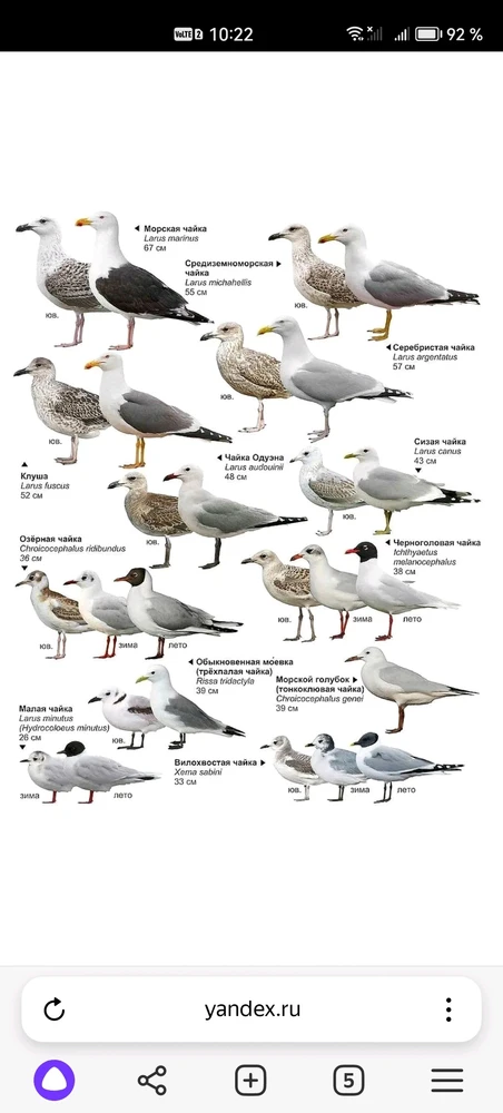 Фото загрузил Стас