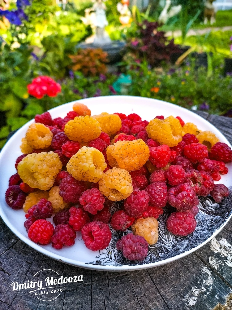 Ягода Малинка, оп-оп-оп❤️