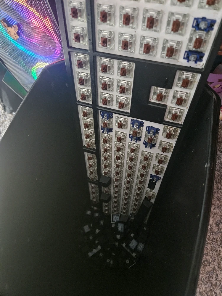 Gambar diunggah dening Janel