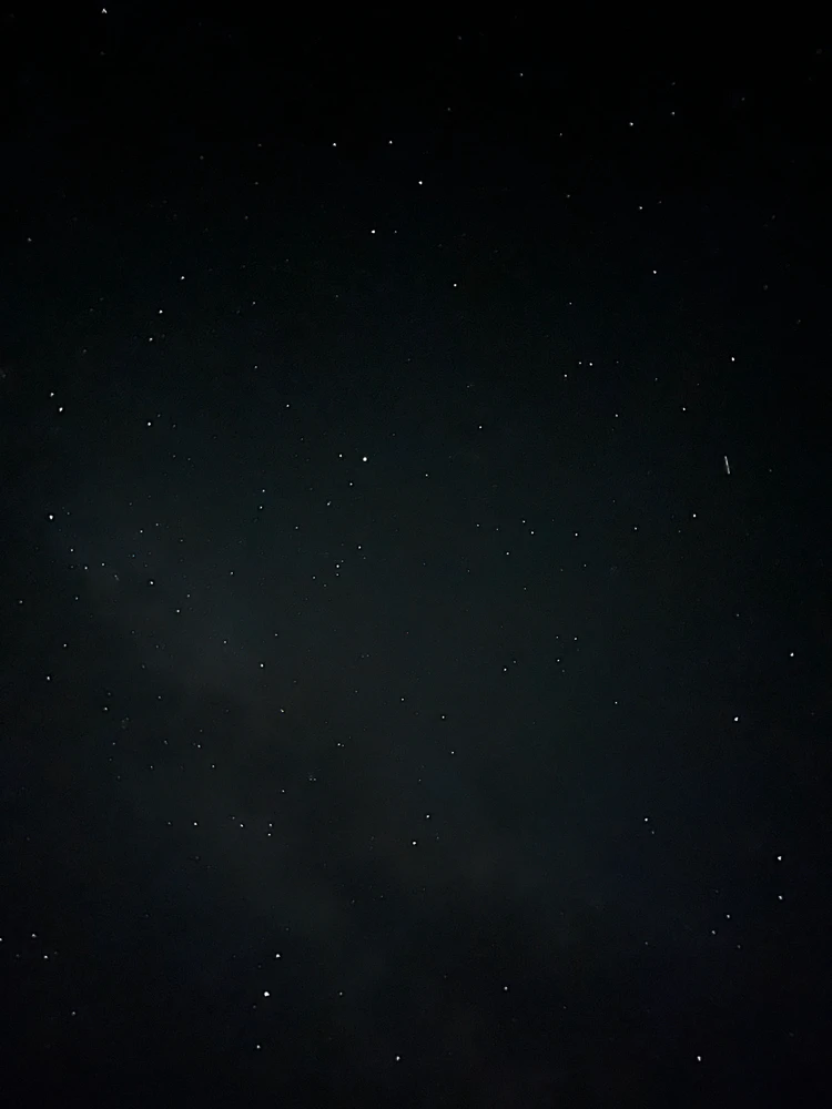 Vendy its not my Name님이 올린 사진