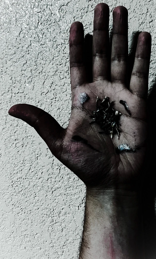 Image uploaded by Raven