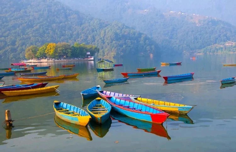 Image uploaded by Nabin