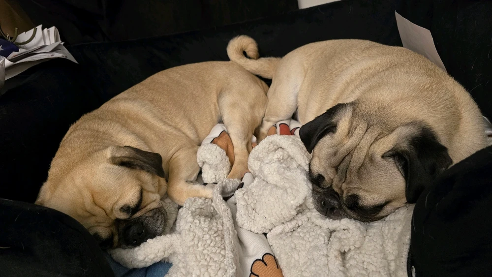 Image uploaded by Angel