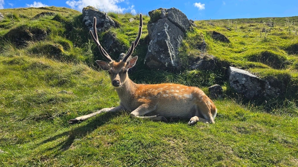 Obrázek nahrál Martin