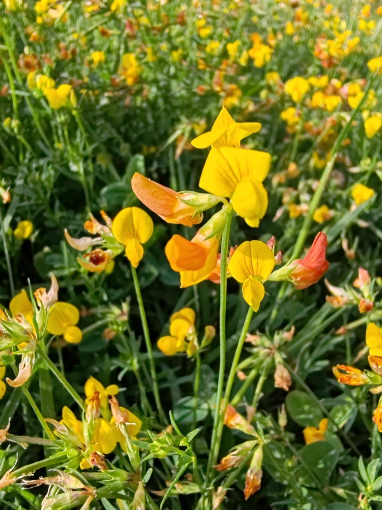 Andor által feltöltött kép