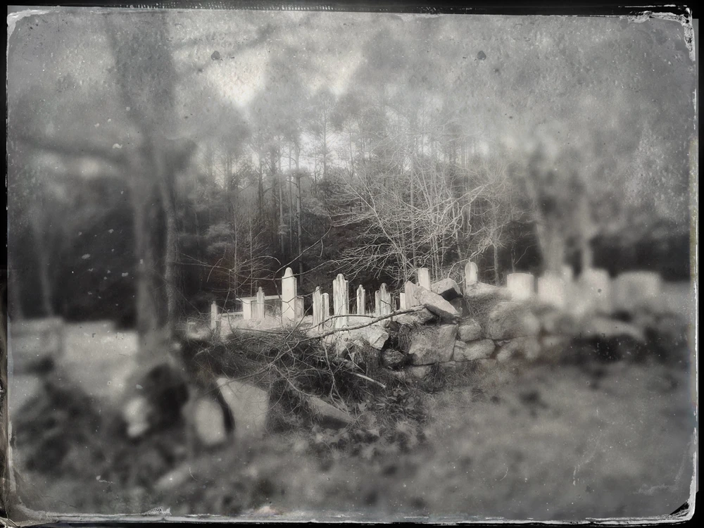 Image uploaded by Wendell