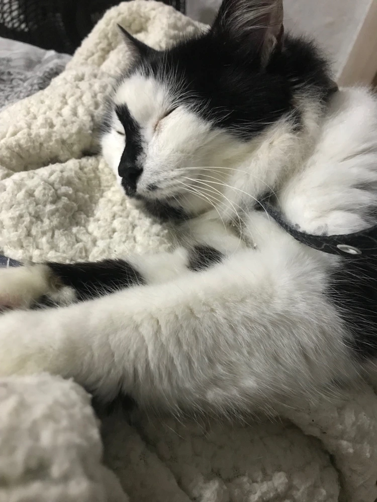 Imagem enviada por Caroline