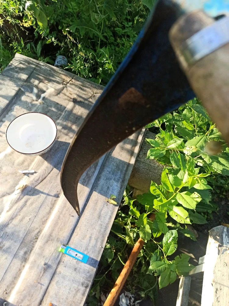 Фото загрузил Олег