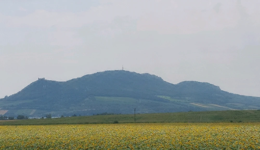 Obrázek nahrál Táňa