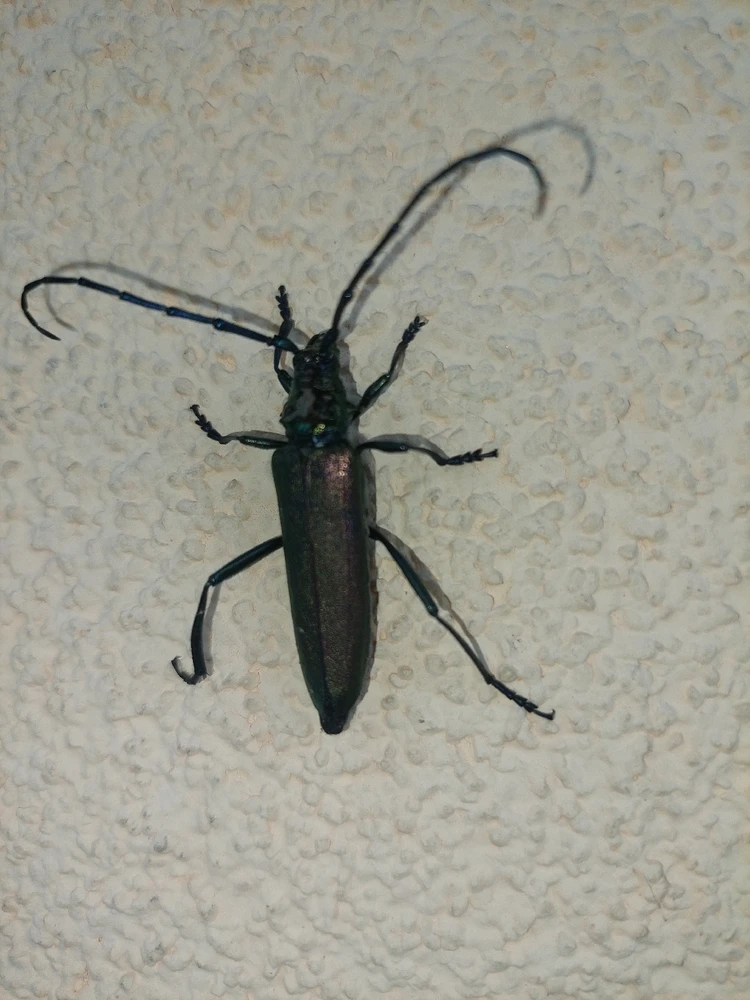 Obrázek nahrál Táňa