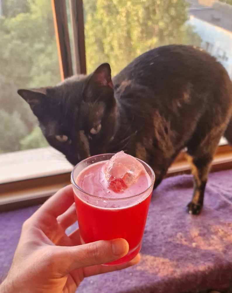 Imagine încărcată de Sorin