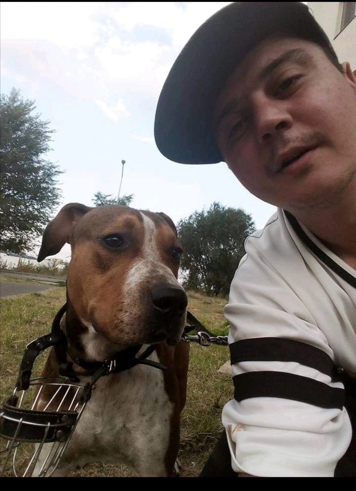 Imagine încărcată de Costa