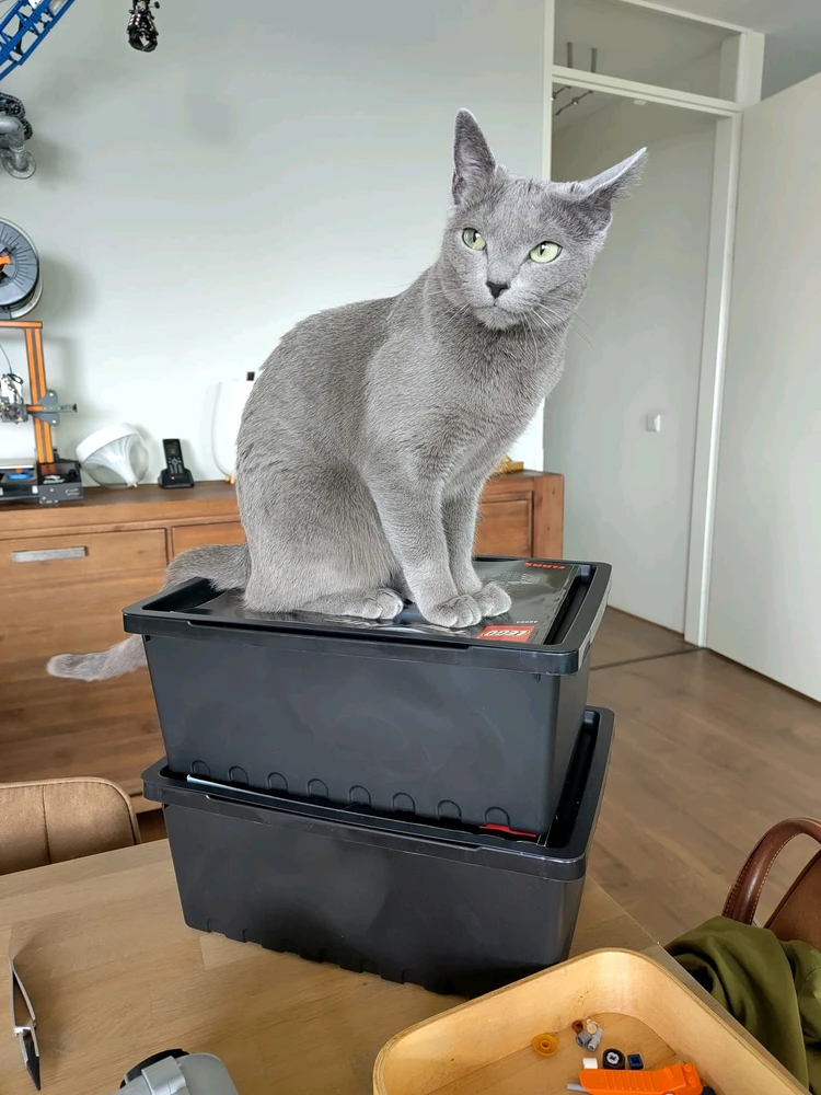 Afbeelding geüpload door Richard