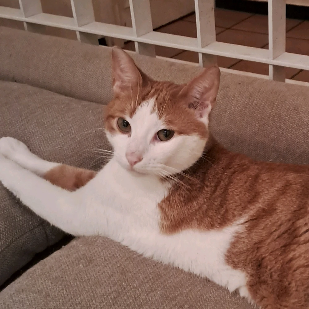 Immagine caricata da Luana