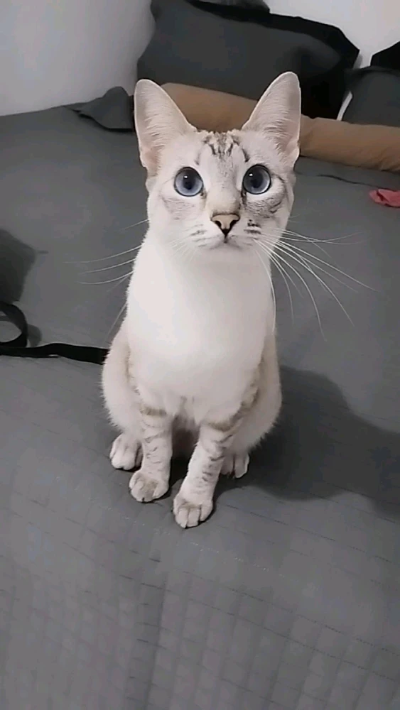 Imagem enviada por Ana bea