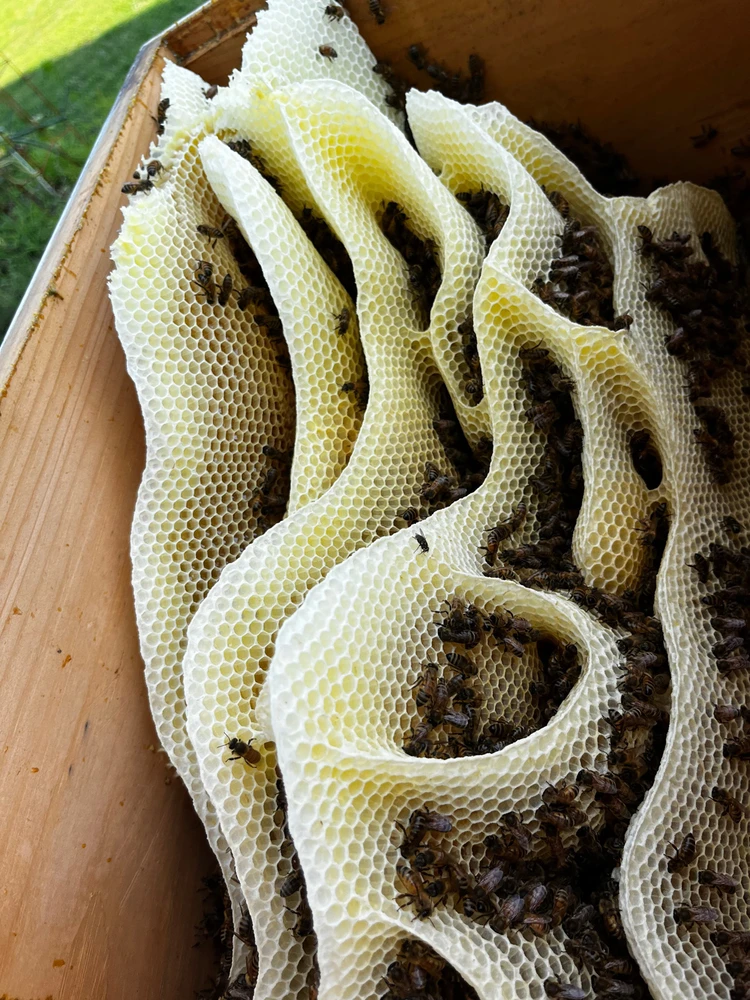 Image uploaded by Tyler Evans