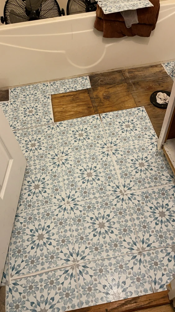 Image uploaded by Rosie