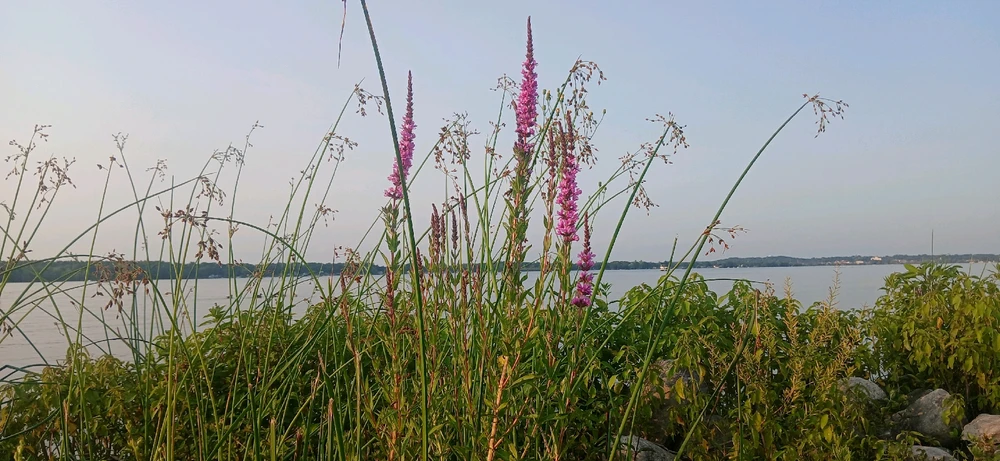Sunset Biking in Cadillac, Michigan