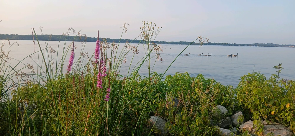 Sunset Biking in Cadillac, Michigan