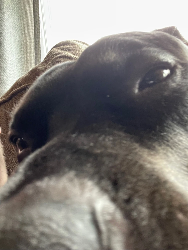 Image uploaded by Chayton