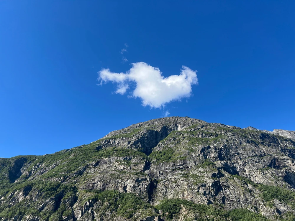 Image uploaded by Vasyl