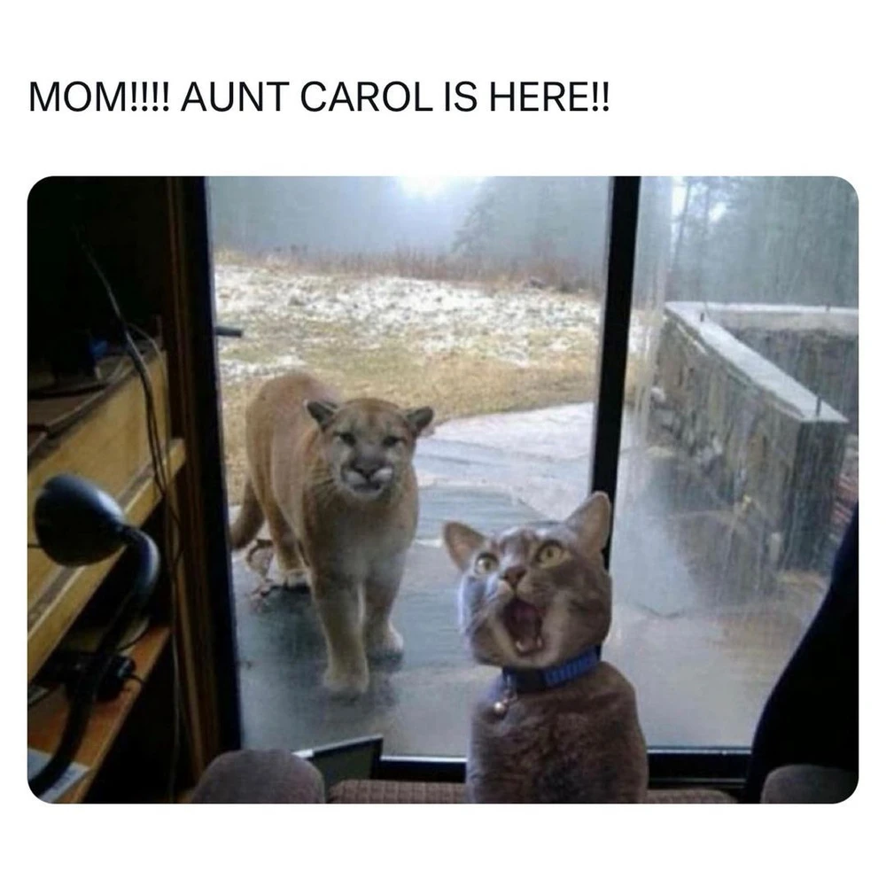 Bild hochgeladen von Andreas