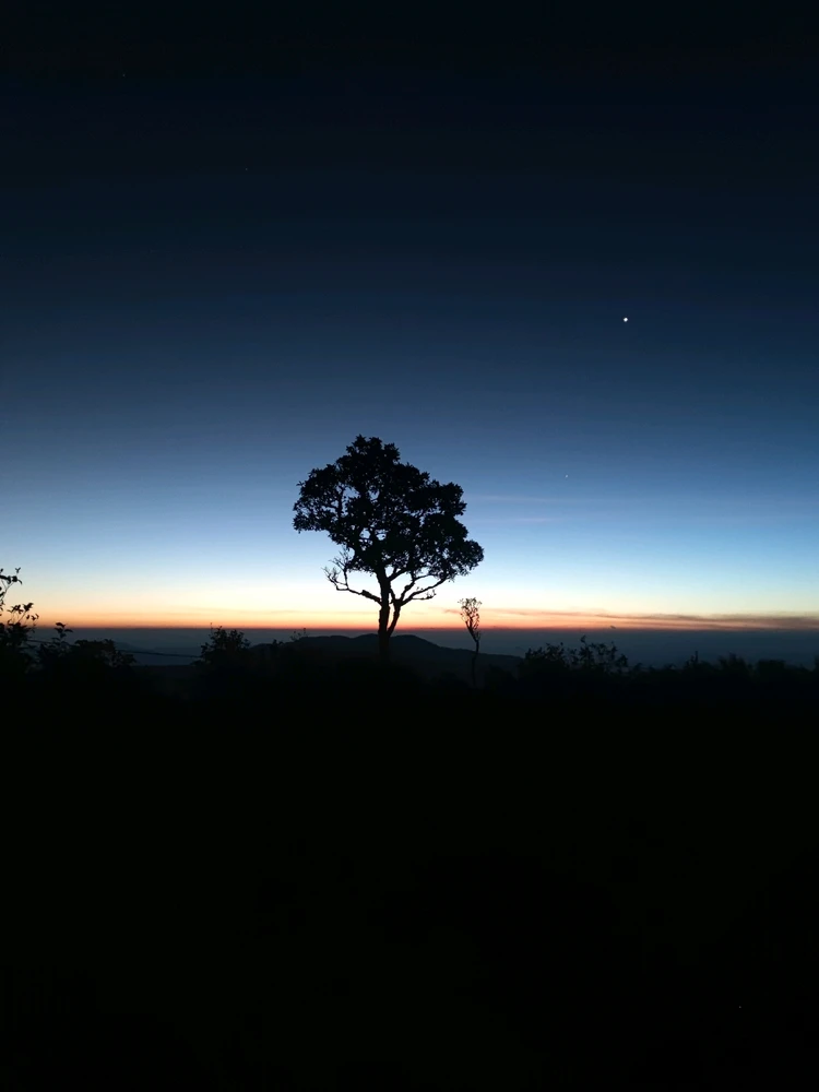 รูปที่อัพโหลดโดย Nut