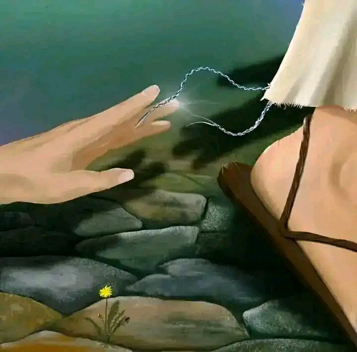 Image ajoutée par mirah