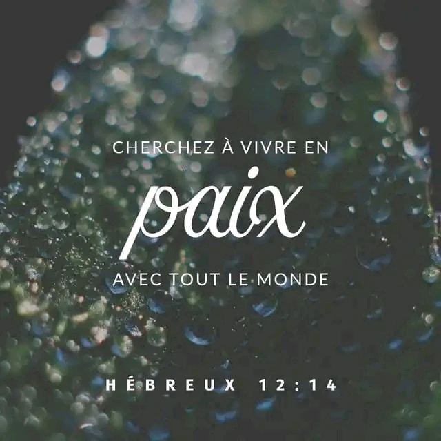 Image ajoutée par mirah