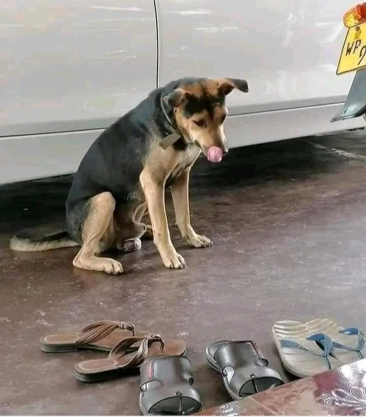 GIF uploaded by ππ΅ππΌπΌπͺ