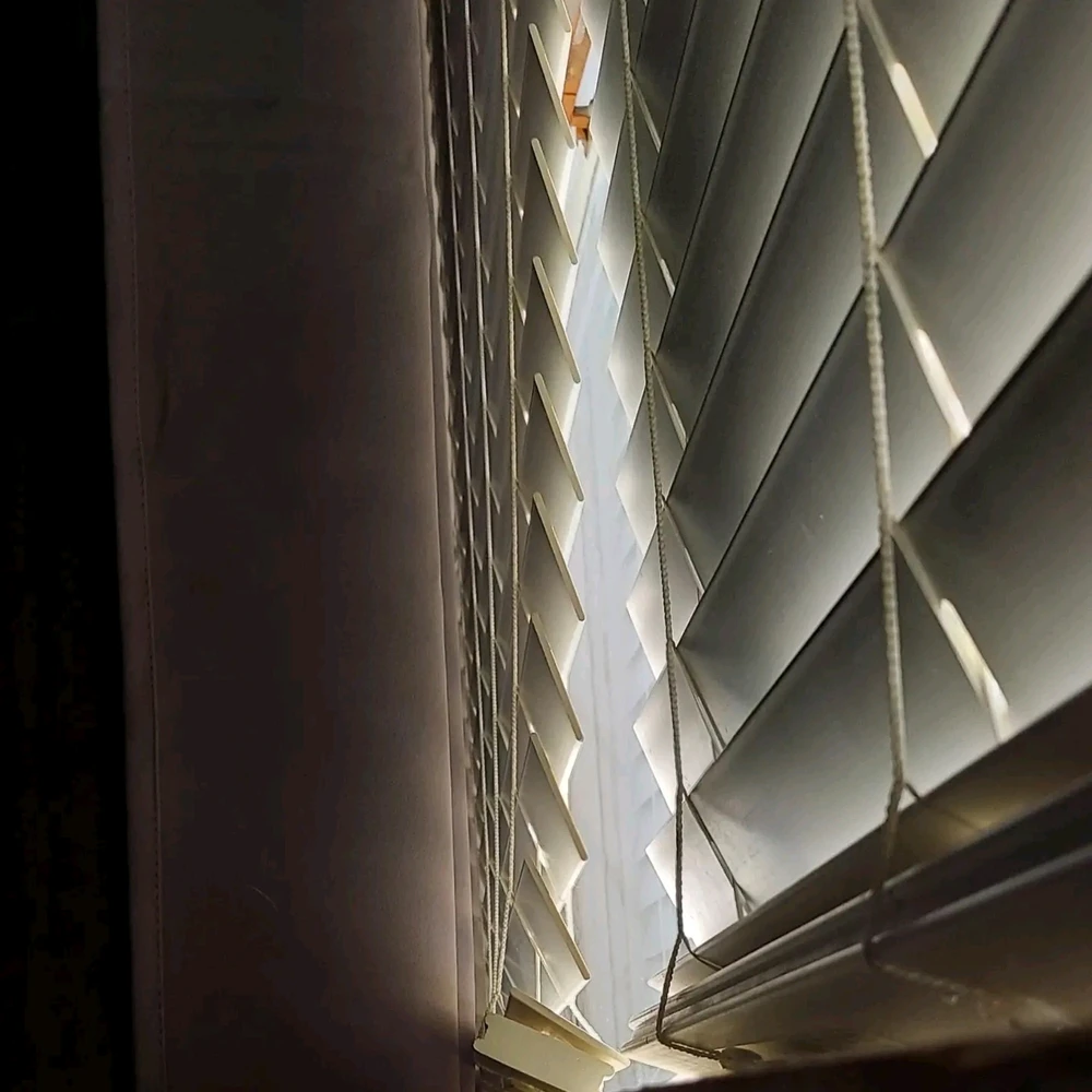 Image uploaded by Josh