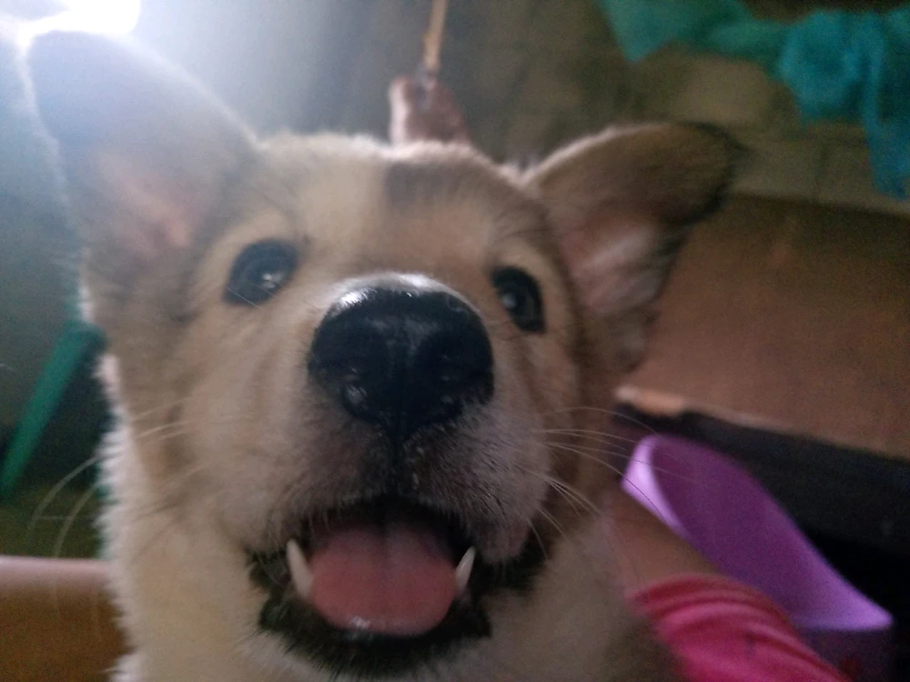 Image uploaded by Em