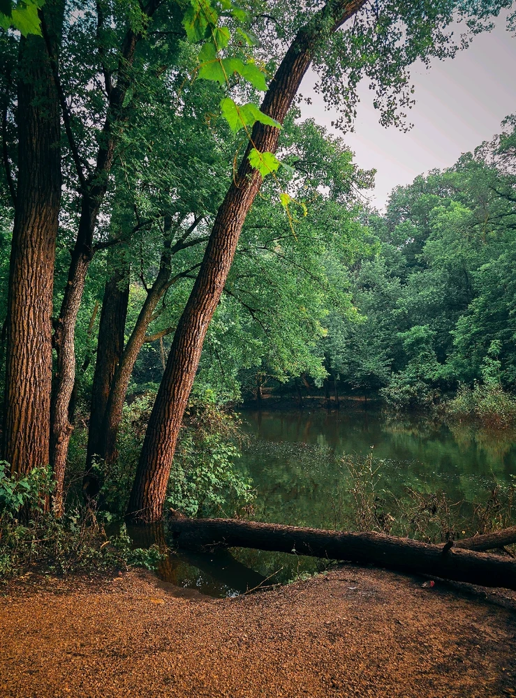 Image uploaded by martin