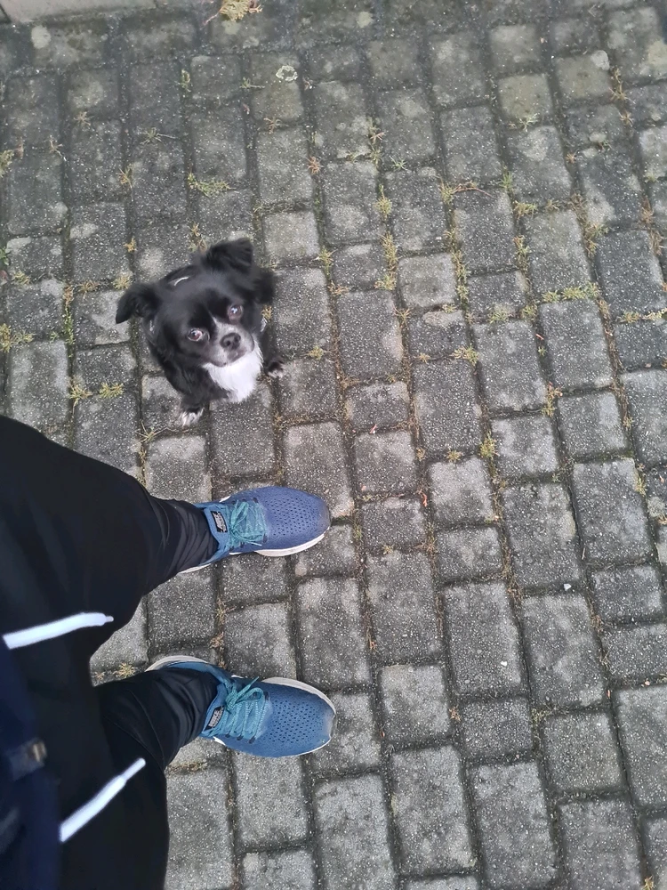 Bild hochgeladen von Kevin