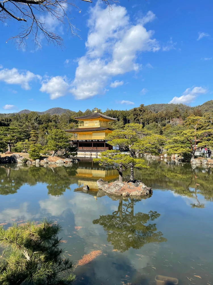 Image uploaded by Eli