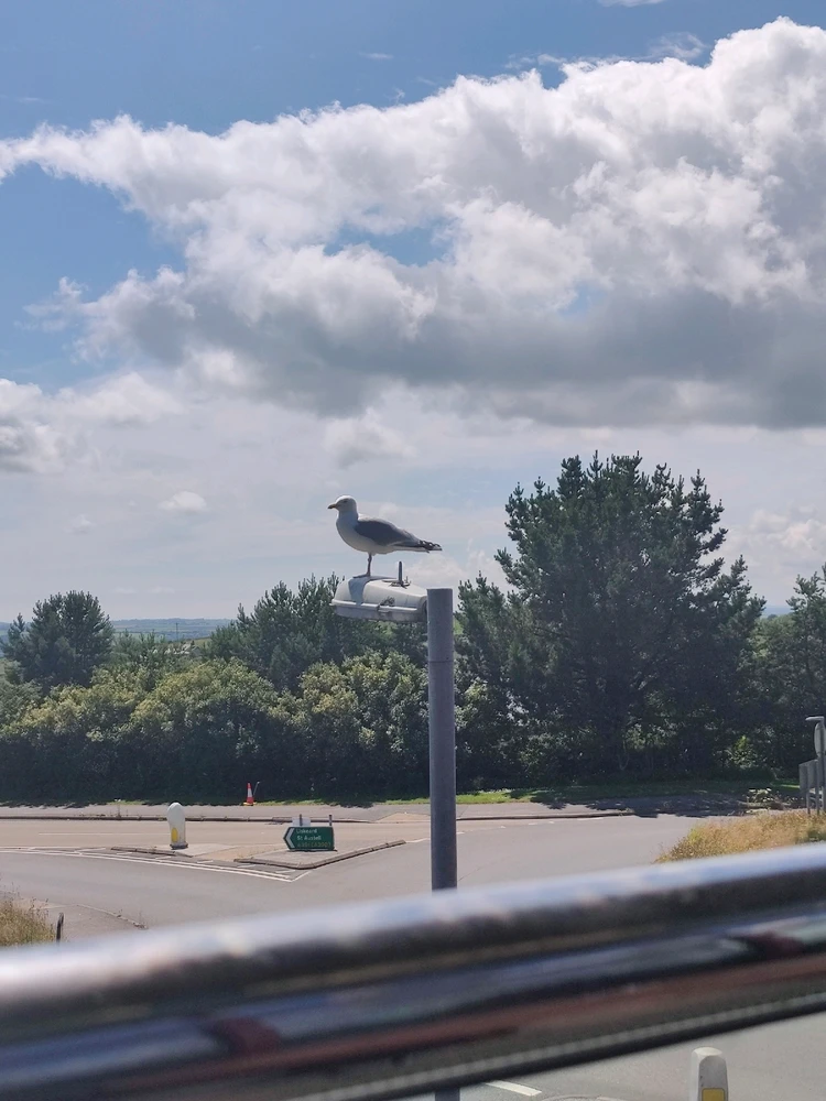 Image uploaded by Jamie