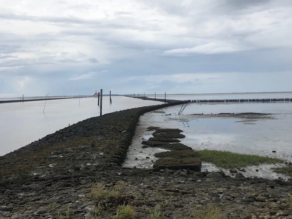 Bild hochgeladen von Kerstin